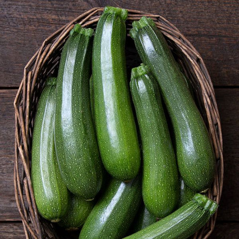 Zucchini, Stardust (Certified Organic Seeds)