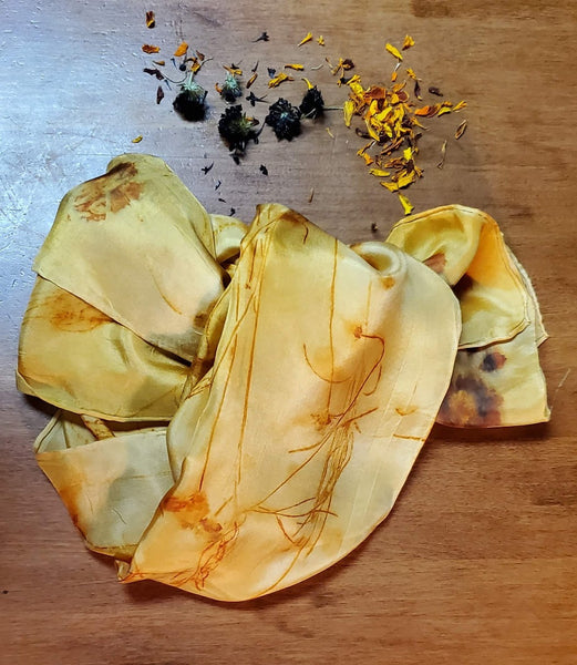Workshop - The Art of Botanical Dyeing (January 20 - 3:30 pm - SECOND SESSION)