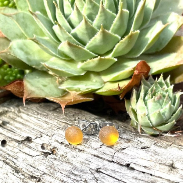 Flame Work Designs - Earrings - Sea Glass Studs - Honey