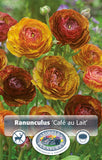 Bulbs (Spring) - Ranunculus, Cafe au Lait
