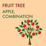 (orchard) Apple, Combination Grafted - Mid-Summer SALE