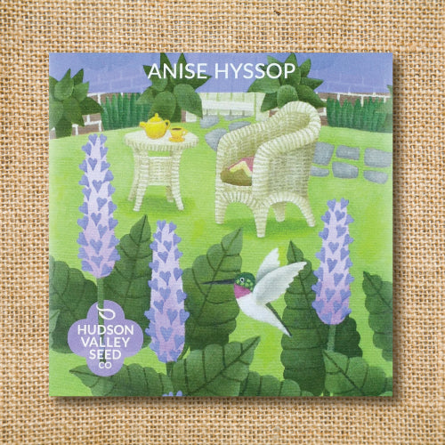 Seeds - Art Pack - Anise Hyssop OG