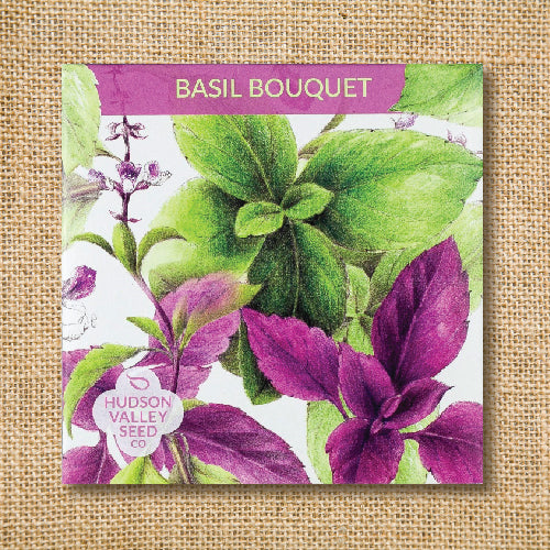 Seeds - Art Pack - Basil Bouquet OG