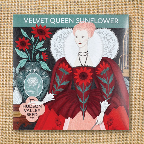 Seeds - Art Pack - Sunflower, Velvet Queen OG
