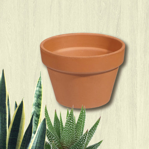 Terracotta Clay Pot - Azalea