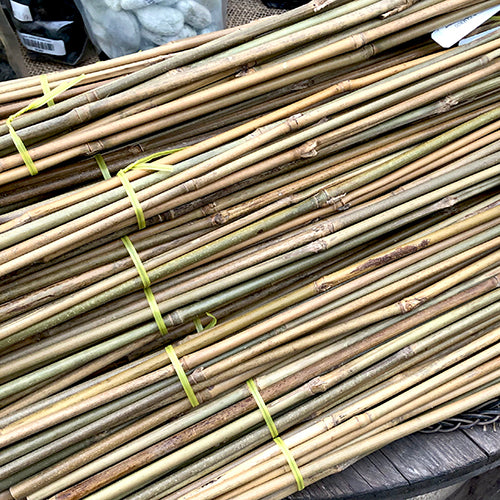 Bamboo Stake Support