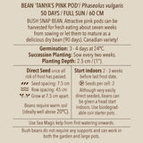 Seeds - Bean (Bush), Tanya's Pink Pod (Bush Snap) OG (SGH)
