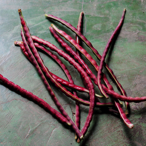 Seeds - Bean (Pole), Asparagus Red Podded OG (SGH)