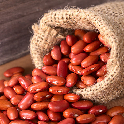 Seeds - Bean (Bush), Red Kidney OG (SGH)