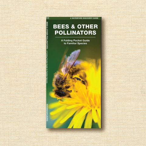 Folding Pocket Guide - Bees and Other Pollinators