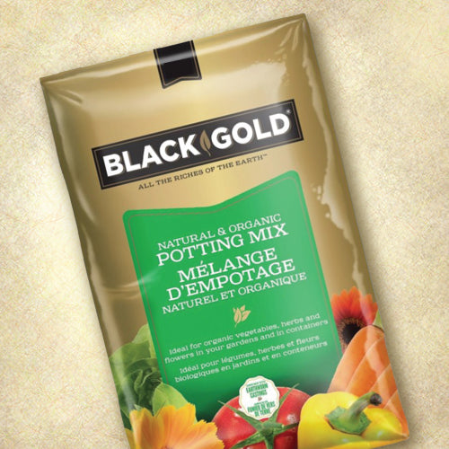 Black Gold Natural and Organic Potting & Seeding Mix - 28L