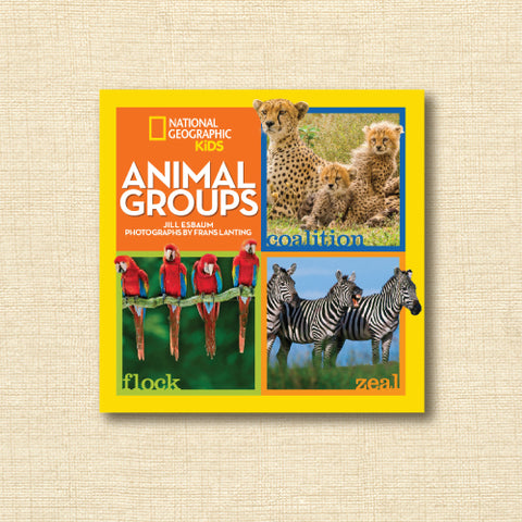 National Geographic Kids: Animal Groups