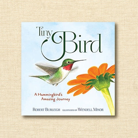 Tiny Bird: A Hummingbird's Amazing Journey
