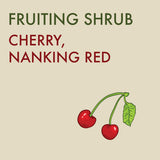 Cherry, Nanking Red - 2-gallon ORCHARD PREORDER FOR LATE MAY 2024