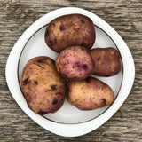 Seed Potato - Caribe (Certified Organic)