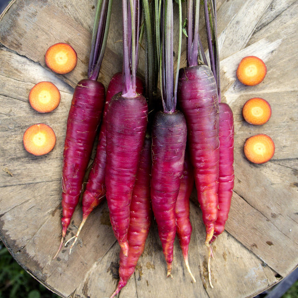 Organic Cosmic Purple Carrot