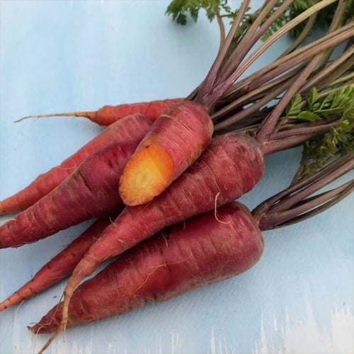 Seeds - Art Pack - Carrot, Dragon OG