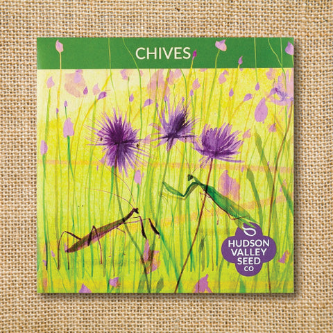 Seeds - Art Pack - Chives OG