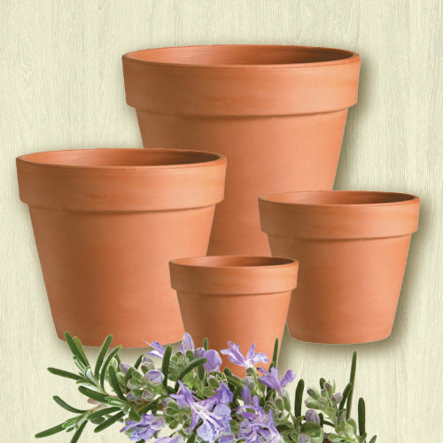 Terracotta Clay Pot - Standard