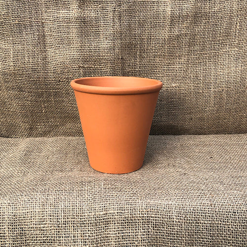 Terracotta Clay Pot - Rose