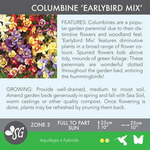 Live Plant - Columbine, Earlybird Mix