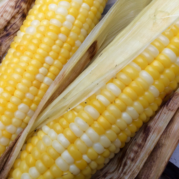 Seeds - Corn, Double Standard Sweet OG (F)