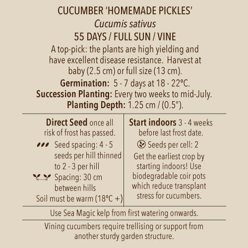 Seeds - Cucumber, Homemade Pickles OG (SGH)