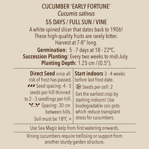 Seeds - Cucumber, Early Fortune OG (SGH)