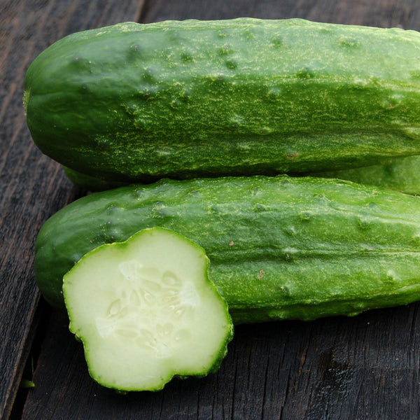 Organic National Pickling Cucumber