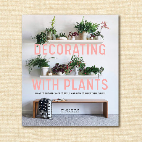Decorating with Plants - What to Choose, Ways to Style, and How to Make Them Thrive