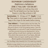 Seeds - Delphinium, Cliveden Beauty OG (SGH)