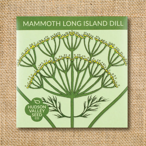 Seeds - Art Pack - Mammoth Long Island Dill OG