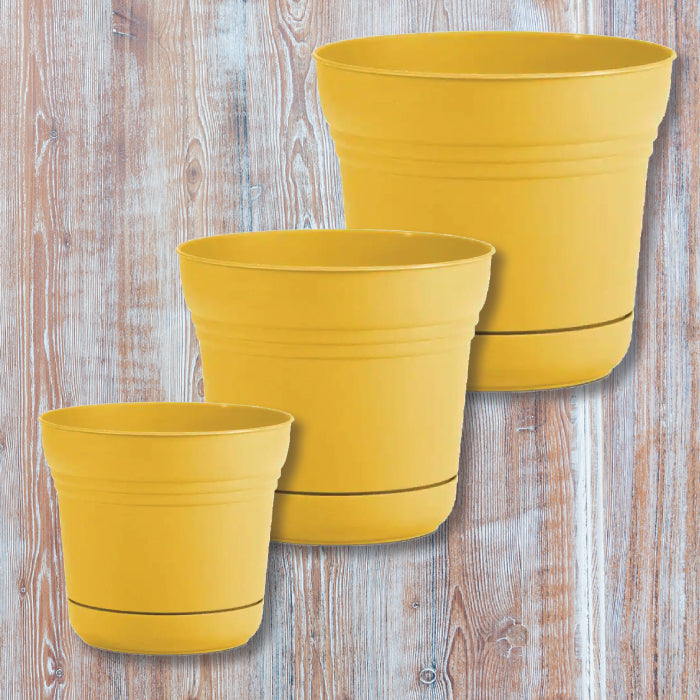 bloem saturn plastic planter Bloem® Saturn Planter - Earthy Yellow - Assorted Sizes