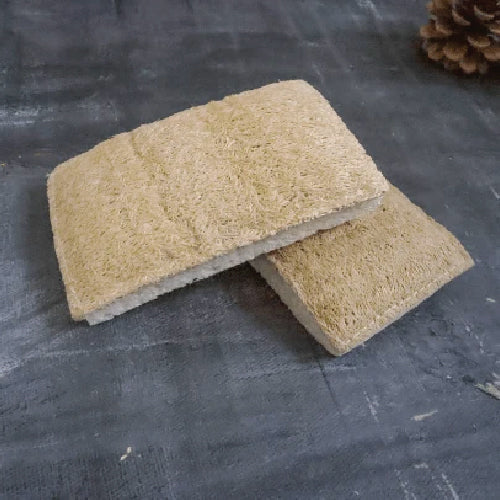 Plantish Eco Sponge - Single