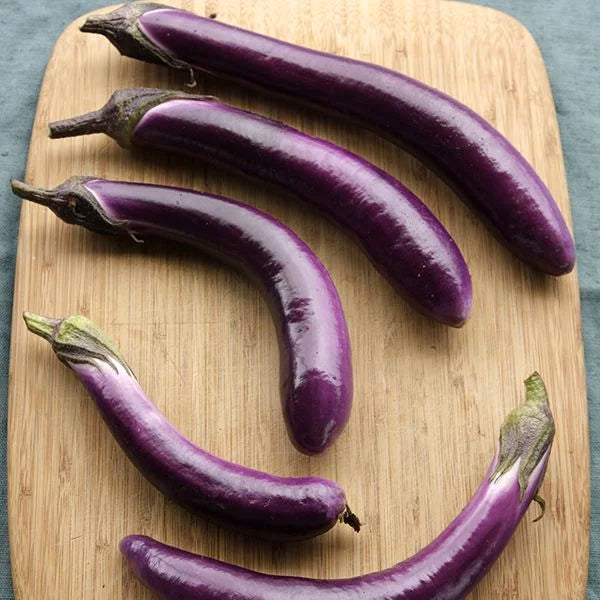 Organic Ping Tung Long Eggplant at Sage Garden