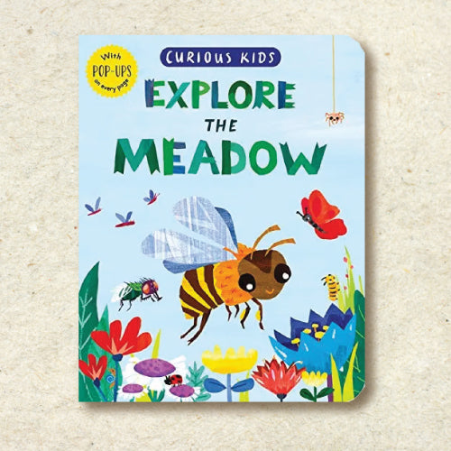 Explore the Meadow (Curious Kids)