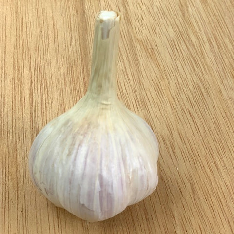 Bulbs - Garlic, Crystal White Variegated OG - PREORDER