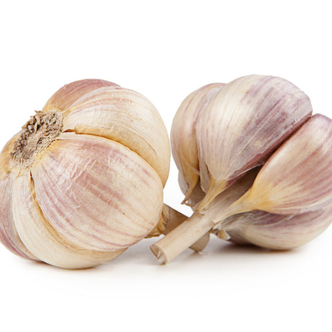 Bulbs - Garlic, Georgian Fire  OG - PREORDER