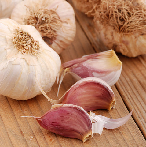 Bulbs - Garlic, Persian Star OG - PREORDER