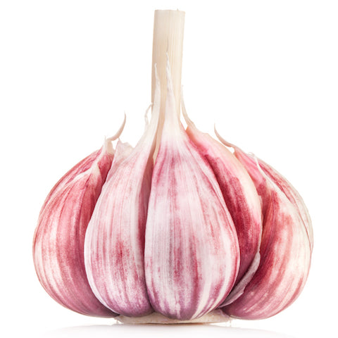 Bulbs - Garlic, Romanian Red OG - PREORDER