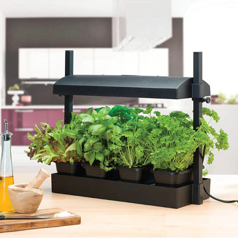 Making Indoor Growing Easy with Lights! - FREE (registration required)