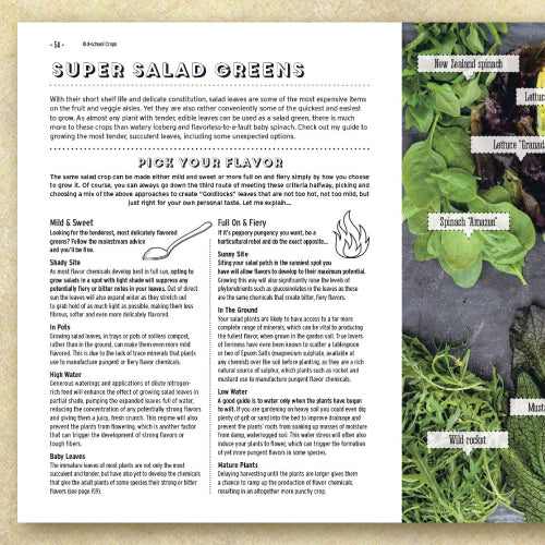 Grow For Flavor: Tips and Tricks to Supercharge the Flavor of Homegrown Harvests (Discount Book)