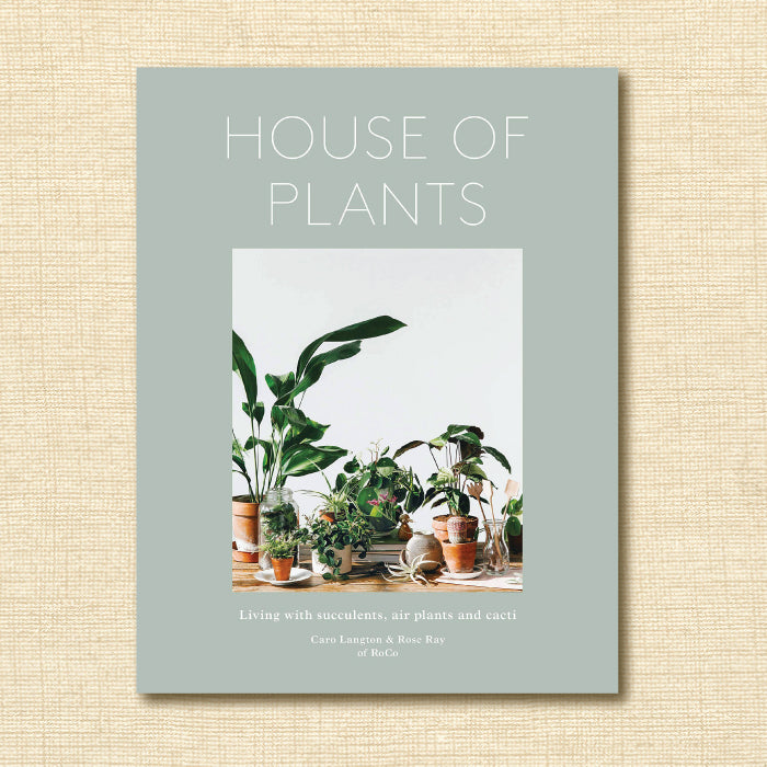 house of plants caro langton House of Plants: Living with Succulents, Air Plants and Cacti