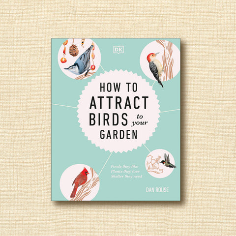 How to Attract Birds to Your Garden: Foods they Like, Plants they Love, Shelter they Need
