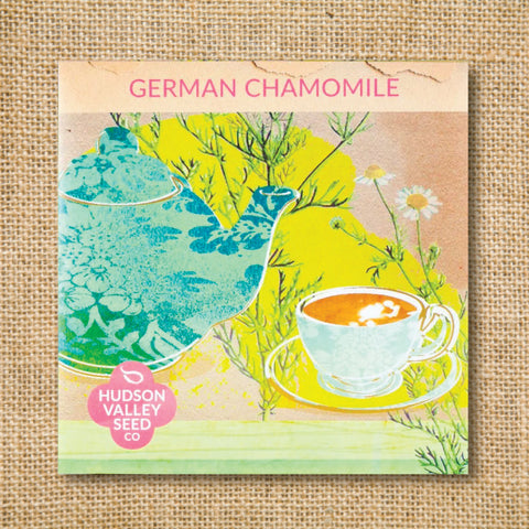Seeds - Art Pack - German Chamomile OG