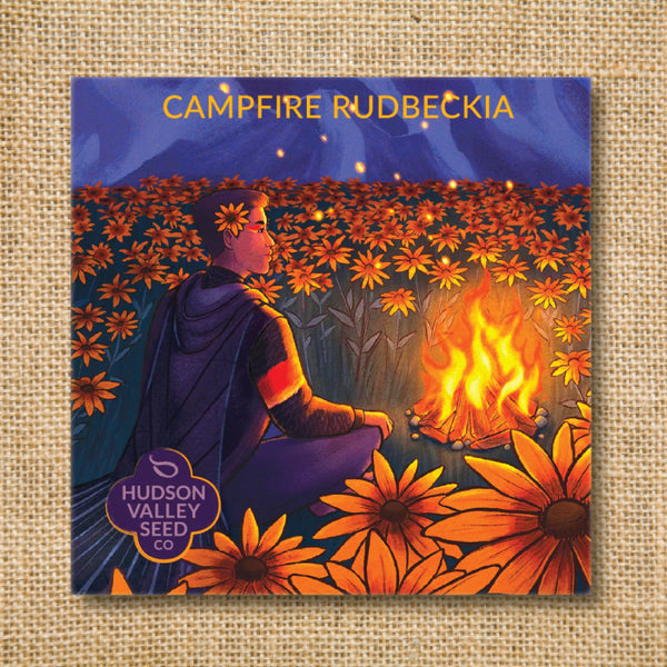 Seeds - Art Pack - Rudbeckia, Campfire OG