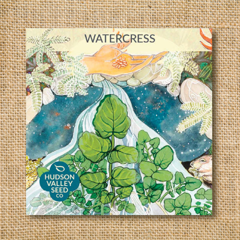 Seeds - Art Pack - Watercress OG