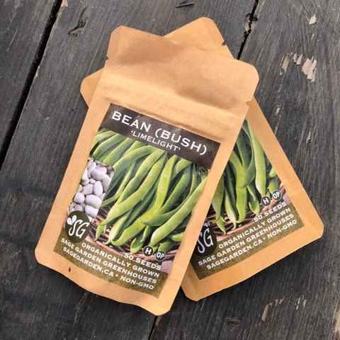 Seeds - Bean (Bush), Limelight OG (SGH)