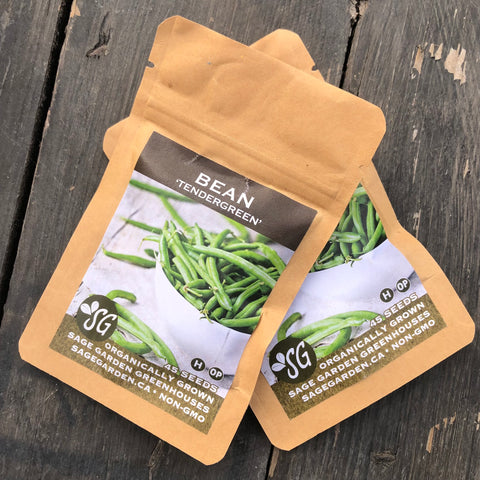 Seeds - Bean (Bush), Tendergreen OG (SGH)