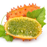 Seeds - Cucumber, Jelly Melon OG (SGH)